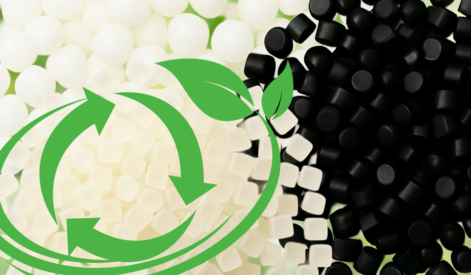 リサイクルの取り組み（プラスチック廃棄物の削減）