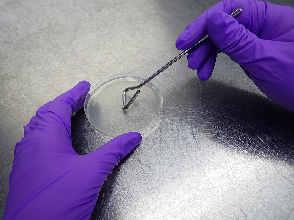 バリデーション